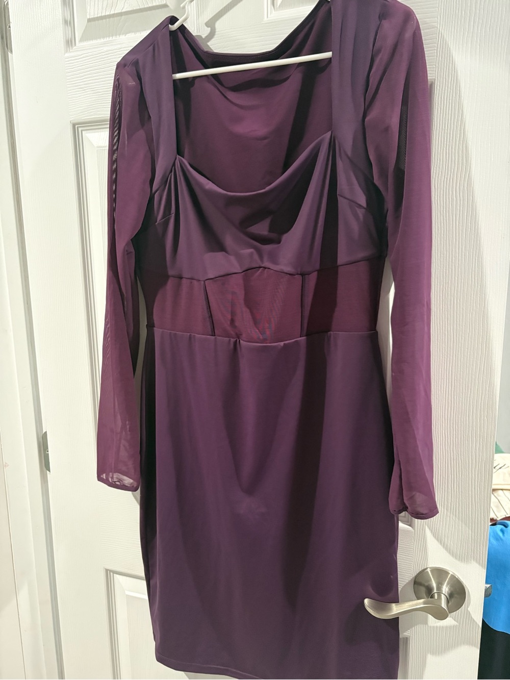 Plum Long-Sleeve Cowl Neck Mini Dress